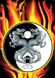 anonymous-yin-yang-dragons-5000591.jpg